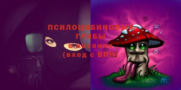 mdpv Магас