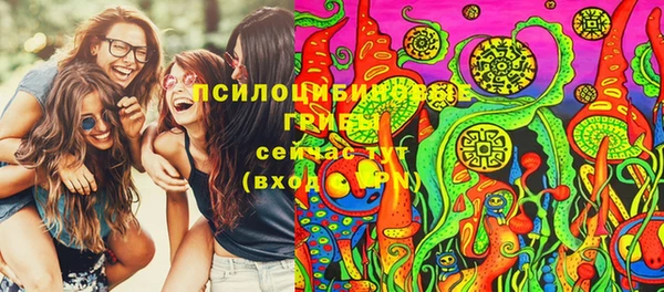 mdpv Магас