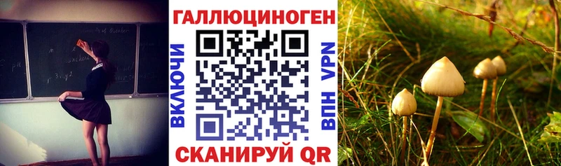 Псилоцибиновые грибы мицелий  Копейск 