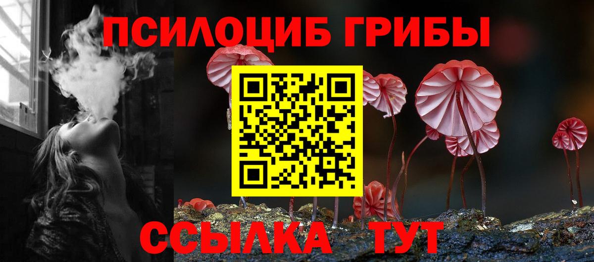 Псилоцибиновые грибы GOLDEN TEACHER  Вход с VPN  Псилоцибиновые грибы MAGIC MUSHROOMS  Копейск 